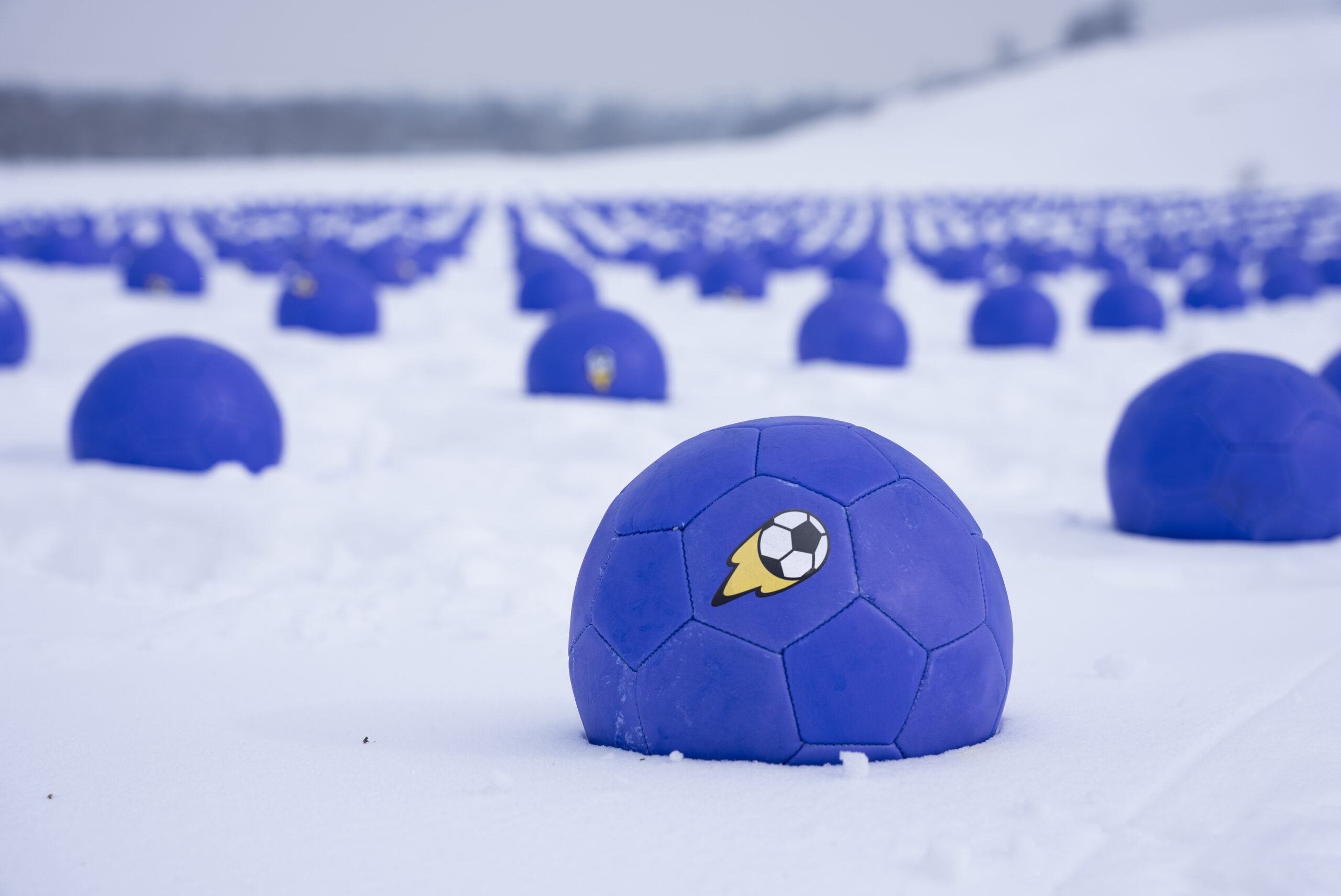 В Казахстане высадили поле из 1000 футбольных мячей