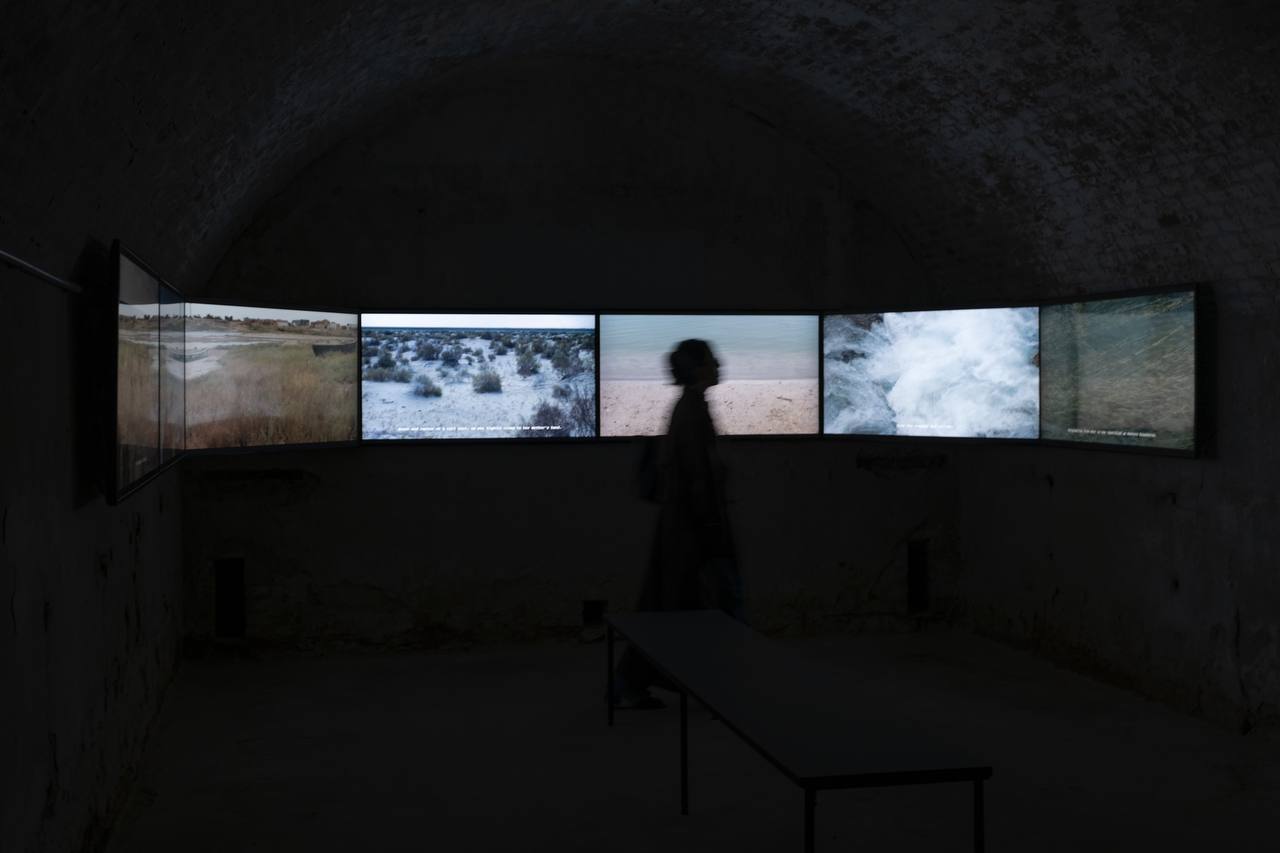 Фильм художницы Назиры Карими представлен в основной экспозиции Венецианской Биеннале